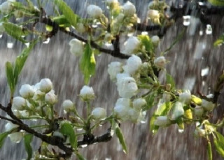 Українцям розповіли, якою буде погода на стику весни та літа