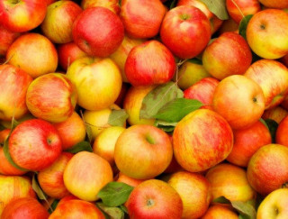 Австралійці перерахували продукти для здоров'я