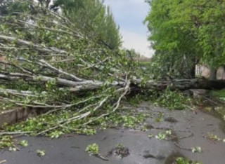 Негода в одному з регіонів України призвела до сумних наслідків
