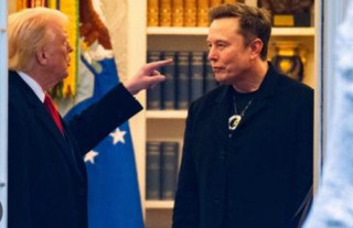 Трамп зробив заяву з приводу Маска та наркотиків