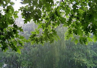 У найближчі вихідні на українців чекає не найприємніша погода