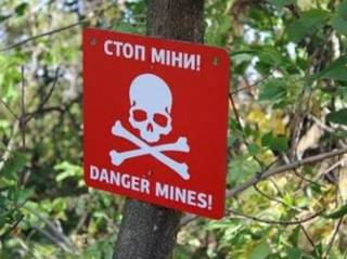 Названа стоимость разминирования одного гектара сельскохозяйственной земли в Украине
