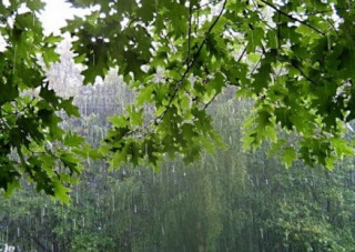Синоптики кажуть, що найближчими днями Україну активно поливатимуть дощі
