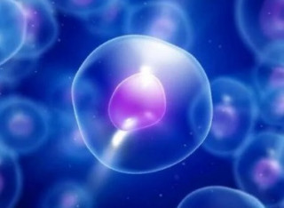 Американці виявили у клітинах людини невідому структуру