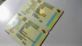 В «Дії» появилась замена техпаспорта онлайн