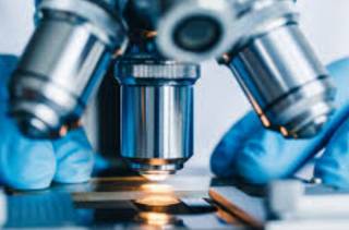 Выявлены генетические причины агрессии