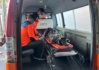 На Балі бойовий півень убив чоловіка