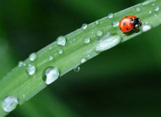 Гидрометцентр сообщил, какие сюрпризы готовит погода украинцам