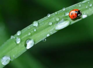 Гідрометцентр повідомив, які сюрпризи готує погода для українців