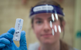 В Україні виявили новий штам коронавірусу Stratus