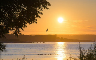 Липень став третім найспекотнішим за всю історію спостережень