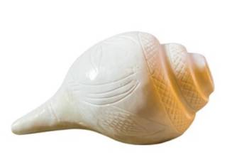 Озвучен неожиданный способ борьбы с храпом