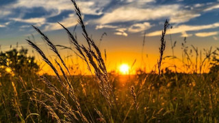 Літо в Україні триватиме понад 5 місяців, — прогноз кліматолога