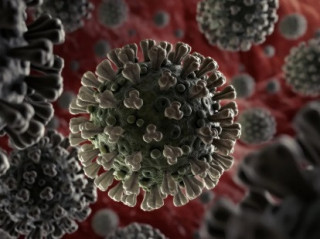 Nimbus і Stratus: МОЗ прокоментувало появу двох нових субваріантів коронавірусу в Україні