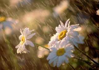 Стало відомо, коли до України повернуться дощі