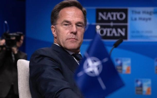 Рютте примет участие в переговорах Зеленского и Трампа