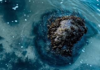 Ученый предрек извержение подводного вулкана Аксиал в Тихом океане