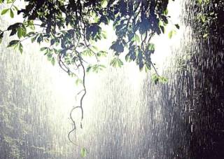 Выходные в Украине будут дождливыми и прохладными