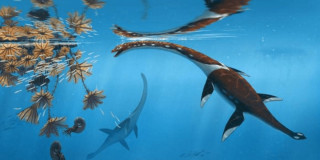 У Німеччині знайшли останки морського монстра віком 183 мільйони років