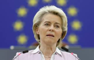 Украину хотят превратить в «стального дикобраза»