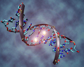 Виявлено невідомий родовід людини