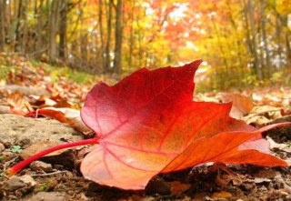 Гідрометцентр попередив українців про наближення похолодання