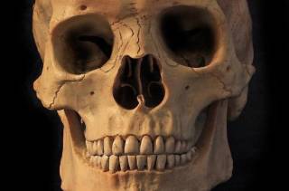 Расизм и британские ученые