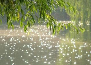 Рабочая неделя в Украине начнется с изменений погоды