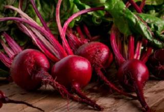 Врач поведала, чем же так полезна свекла