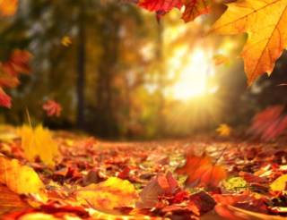 Гидрометцентр сообщил, чего ждать от погоды украинцам