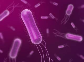 В Черниговской области дети подхватили сальмонеллезу