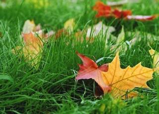 Гидрометцентр информировал, чего ждать от погоды в Украине в ближайшие выходные