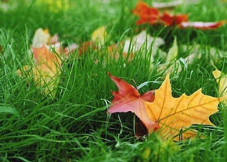 Гідрометцентр інформував, чого чекати від погоди в Україні найближчими вихідними