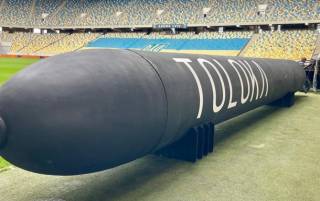 СМИ раскрыли характеристики дронов Toloka