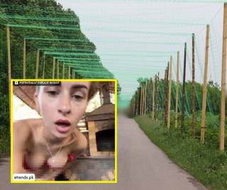 Вебкам-модель Наталья Борщевич выиграла... антидроновый тендер