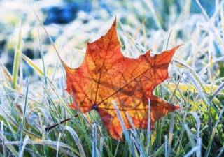 В Украине продолжается похолодание – прогноз на ближайшие дни