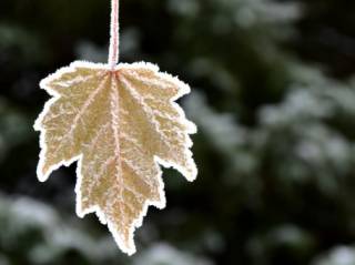 Синоптики пообещали украинцам теплый октябрь