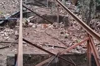 Крушение фуникулера на Шри-Ланке привело к гибели буддийских монахов