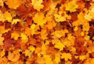 В ближайшие дни украинцев ждет сухая, но прохладная погода