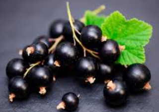 Виявлено несподівану користь чорної смородини