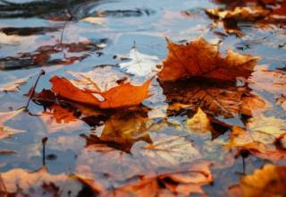 В ближайшие дни украинцев ждет очень неприятная погода