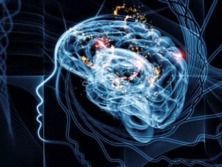 Вчені кажуть, що навчилися читати думки