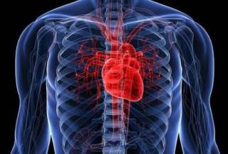 Поляки выяснили, каким людям в первую очередь угрожают проблемы с сердцем