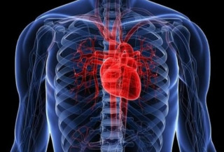 Поляки з'ясували, яким людям насамперед загрожують проблеми із серцем