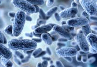 Американці б'ють на сполох через зростання захворюваності на кашлюк.