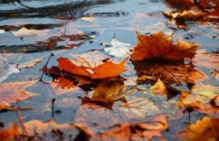 В конце рабочей недели украинцев ждет грустная погода