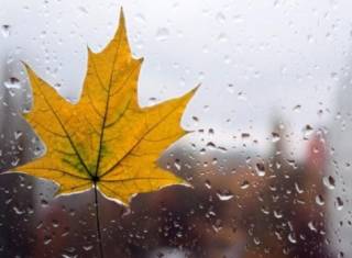 В ближайшие дни украинцев ждет неоднозначная погода