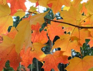 В Украине немного улучшится погода