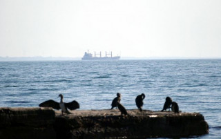 Біля берегів Болгарії затонуло українське судно. Екіпаж вдалося врятувати