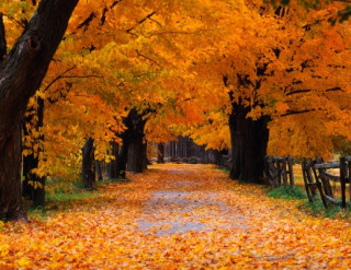 Синоптик розповіла, якою буде погода в Україні до кінця тижня